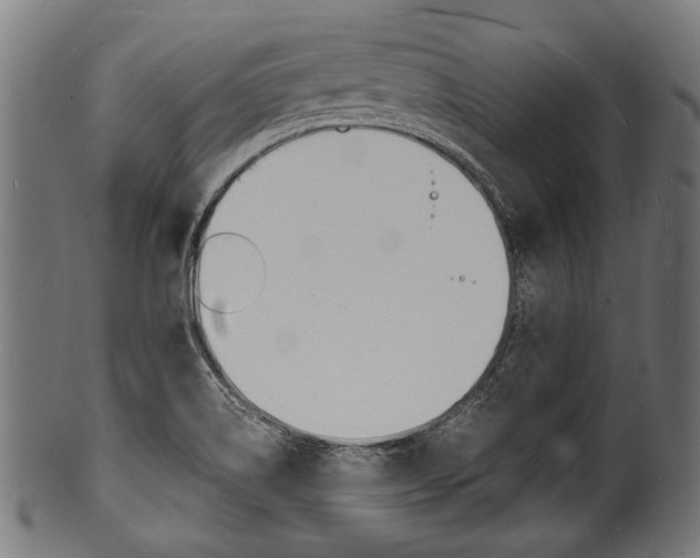 X0000100981514200806241136