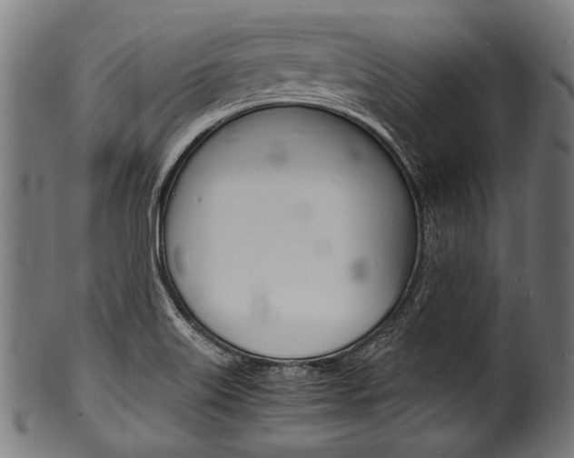 X0000100981515200806241136