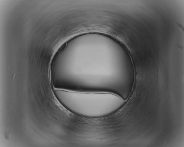 X0000100981516200806241136