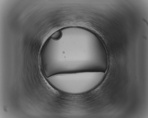X0000100981517200806241136