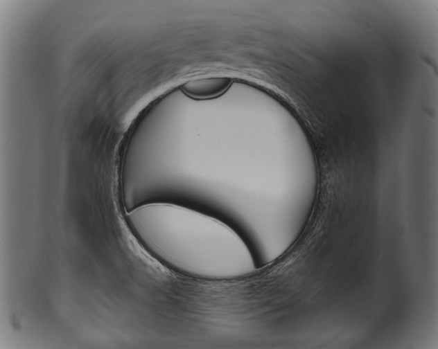 X0000100981518200806241136