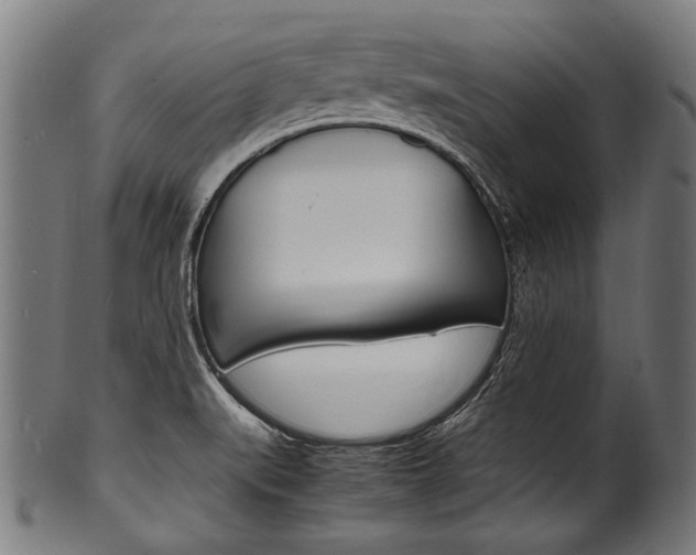 X0000100981519200806241136