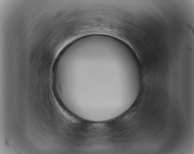 X0000100981523200806241136
