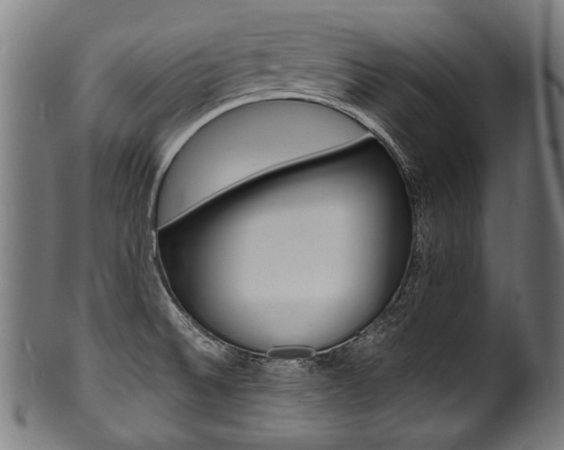 X0000100981524200806241136