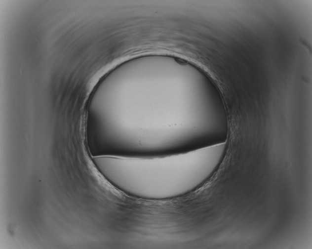 X0000100981526200806241136