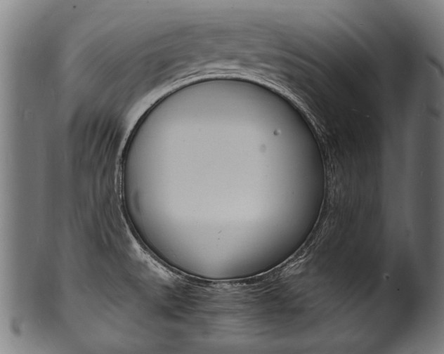 X0000100981527200806241136