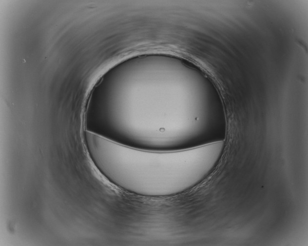 X0000100981528200806241136