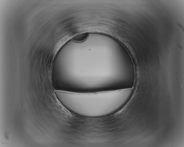 X0000100981529200806241136