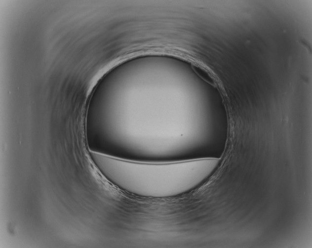 X0000100981530200806241136