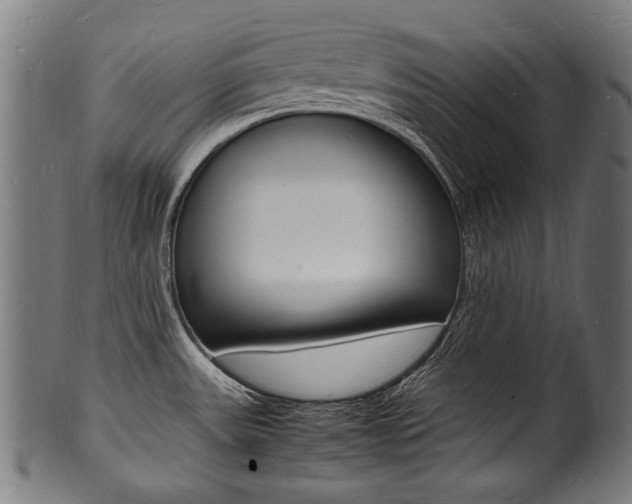 X0000100981531200806241136