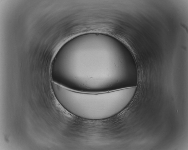 X0000100981532200806241136