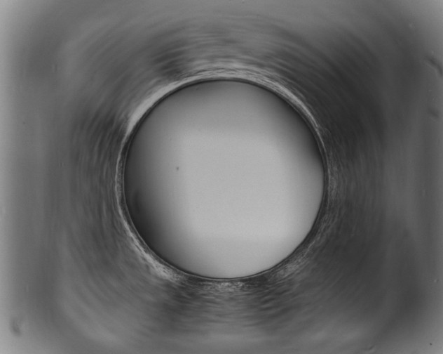X0000100981533200806241136
