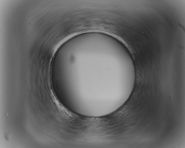 X0000100981534200806241136
