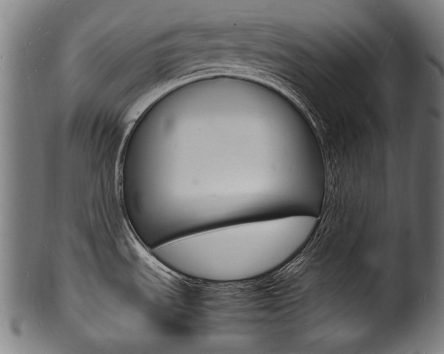 X0000100981535200806241136