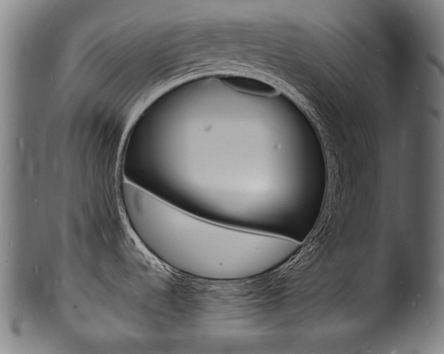 X0000100981536200806241136