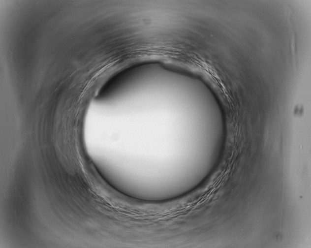 X0000100980001200806241554