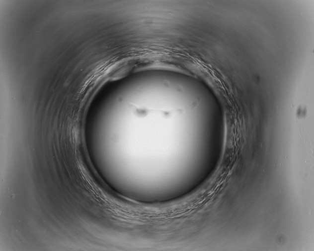 X0000100980002200806241554