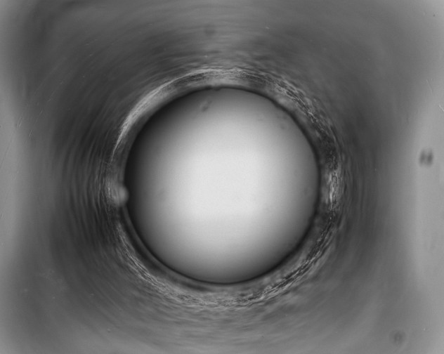 X0000100980004200806241554