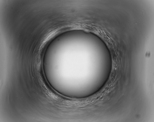 X0000100980005200806241554