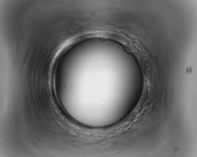 X0000100980006200806241554