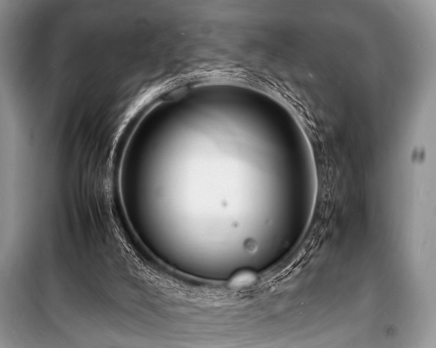 X0000100980008200806241554