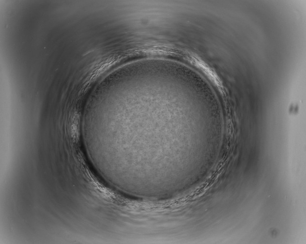 X0000100980009200806241554