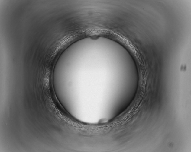 X0000100980010200806241554