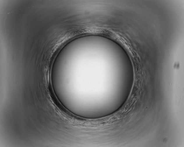 X0000100980011200806241554