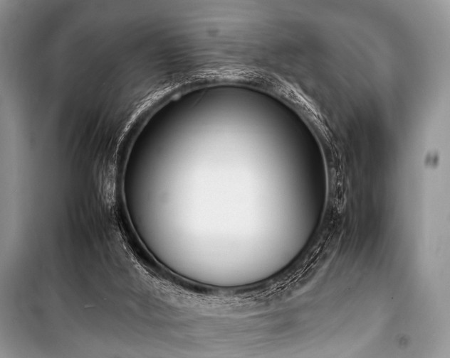 X0000100980012200806241554