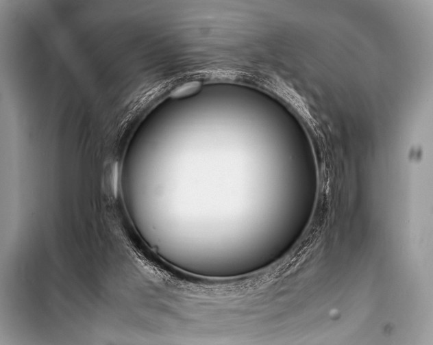 X0000100980013200806241554