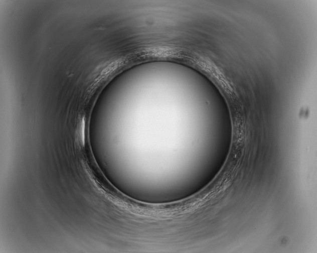 X0000100980014200806241554