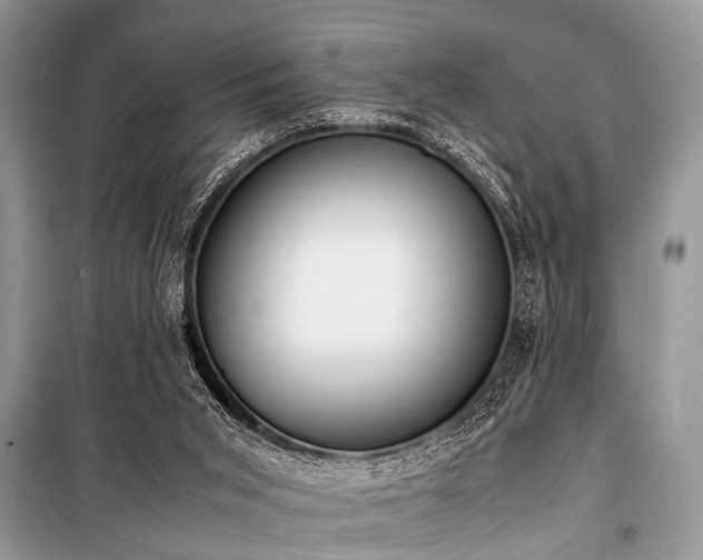 X0000100980015200806241554