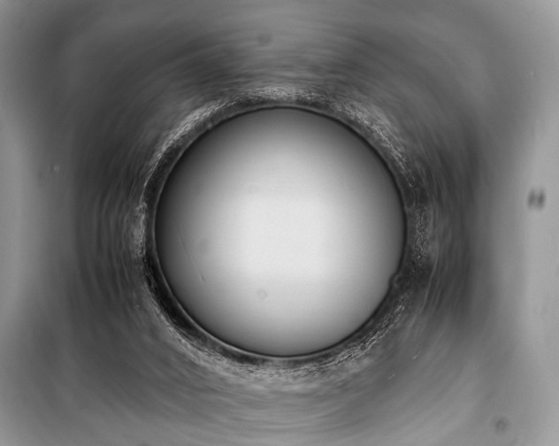 X0000100980016200806241554