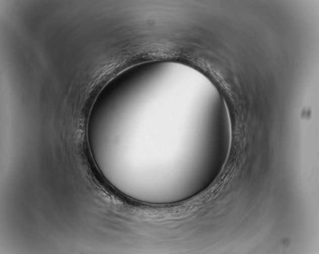 X0000100980017200806241554