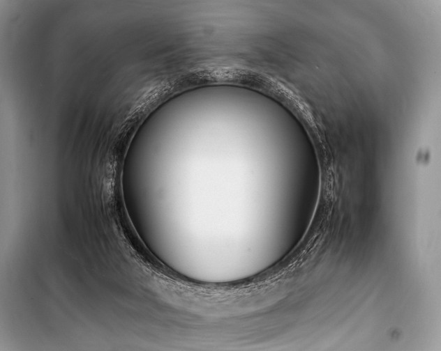 X0000100980018200806241554