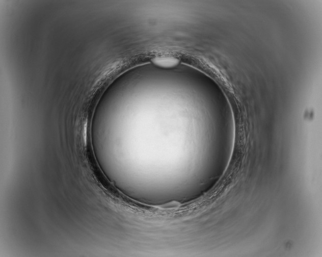 X0000100980019200806241554