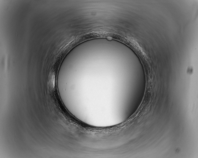 X0000100980021200806241554