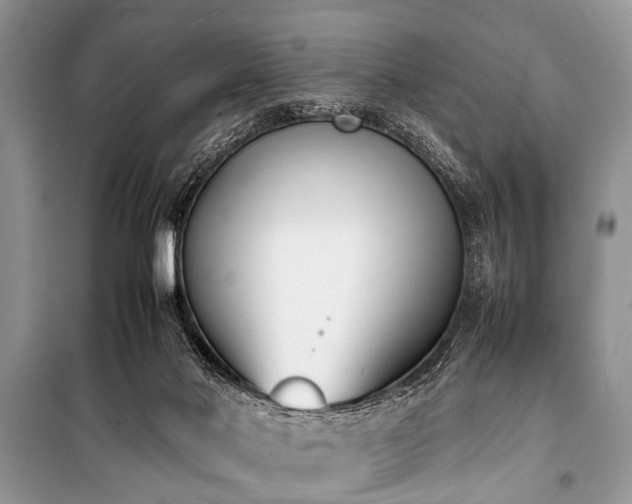 X0000100980022200806241554