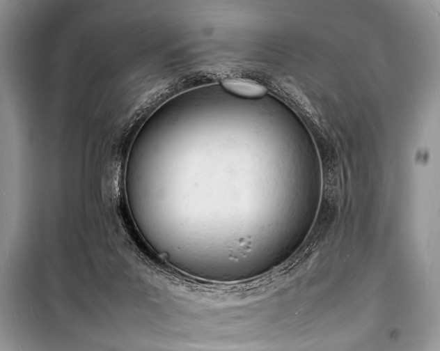 X0000100980023200806241554