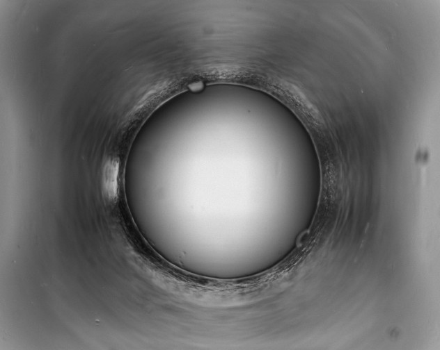 X0000100980024200806241554