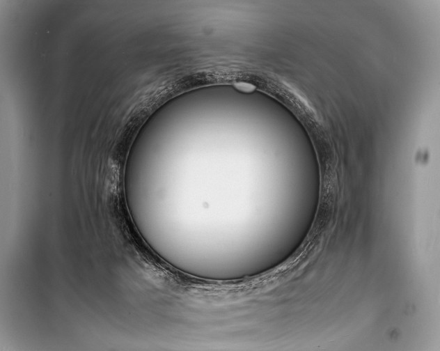 X0000100980025200806241554