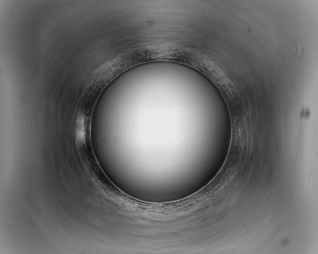 X0000100980026200806241554