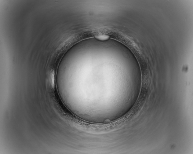 X0000100980027200806241554