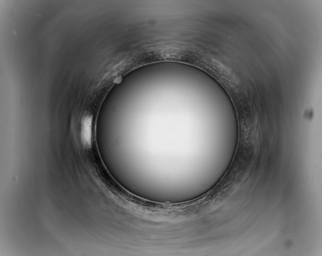 X0000100980028200806241554