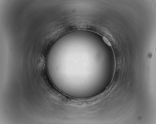 X0000100980029200806241554