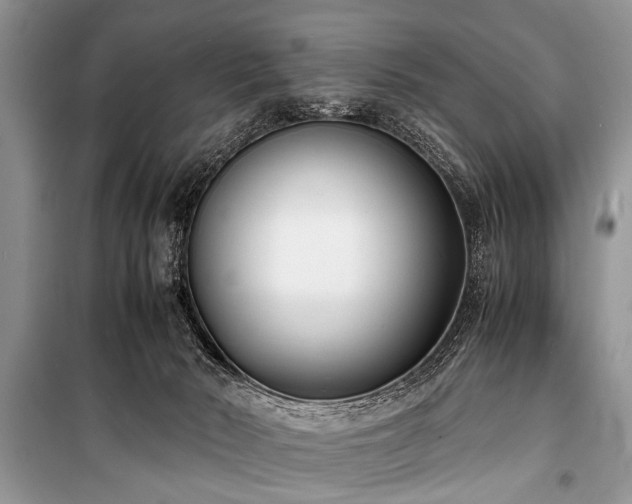 X0000100980030200806241554