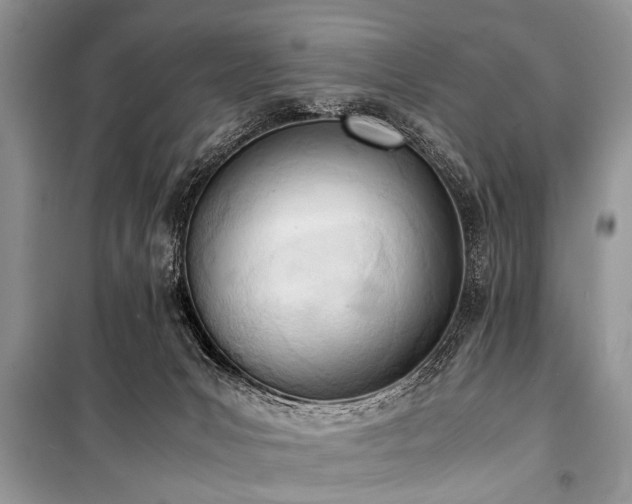 X0000100980031200806241554