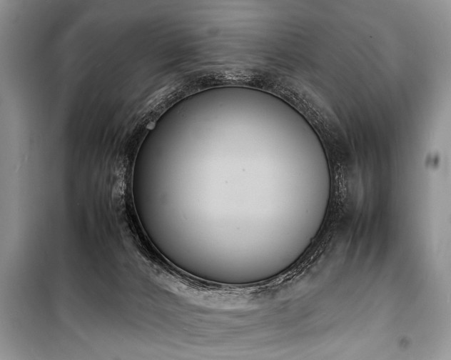 X0000100980032200806241554