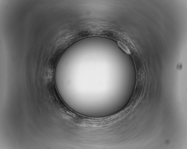 X0000100980033200806241554