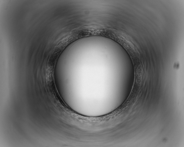 X0000100980034200806241554